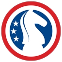 American Chess Magazine logo