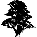 Acorn Financial Services Inc