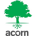 ACORN INTERNATIONAL NETWORK PTE LTD logo