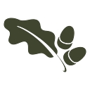 Acorns Nurseries Limited logo
