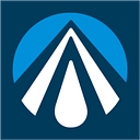 American Consulting Professionals, Llc logo