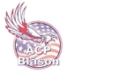 ACP Blason logo