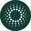 Community Catalyst Action Fund Inc logo