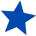 Action Insurance Group logo