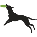 Action Pack Dog Center logo
