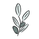 Act Natural Nutrition logo