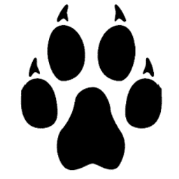 Adelante Charter logo
