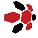 Adept Networks logo