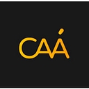 Favicon of ADIN