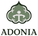 Adonia Enterprise Ltd. logo