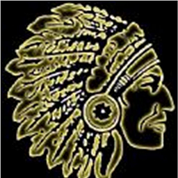 ADRIAN ELEM. logo