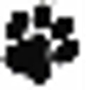 Favicon of Advaxis, Inc.