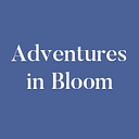 Adventures in Bloom