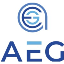 Application Engineering Group, Inc. logo