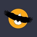 American Eagle Lighting Enterprises logo