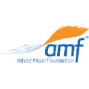 Alfred Mann Foundation logo