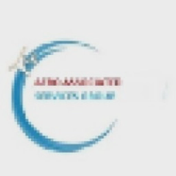AERO ASSOCIATED SERVICES GROUP LTD logo