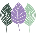 Aesthetica Medical Spa logo