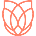 Afeyan Family Foundation logo