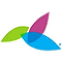 Affiliated Dermatology logo