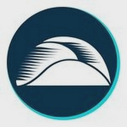 avatar logo