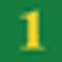 American First National Bank logo