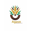 Agave