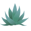 Agave Plumbing logo