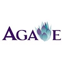 Agave Transportation Services