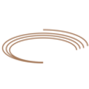 The Agouron Institute logo