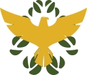 Agile Falcon Strategic Group Llc. logo