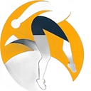 Agilityphysio logo