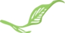 Agreenplanet.Com logo