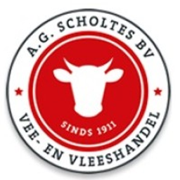 agscholtes.nl