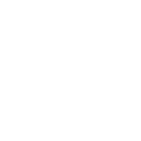 água De Coco logo