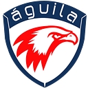 Aguila Consulting logo
