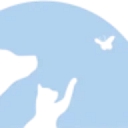 Animal Health Care Denver