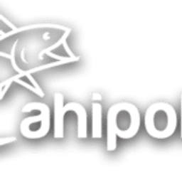 Ahipoki logo