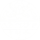 TTEE W F ALBRIGHT INSTITUTE -ART 8 logo