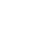 AMERICA-ISRAEL CULTURAL FOUNDATION INC logo