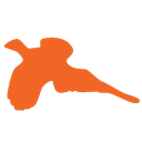 Aiming for a Cure Foundation logo