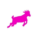 Anything Is Possible logo