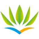 Air Caraïbes logo