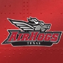 Texas Airhogs Baseball logo