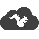 Squirrels Llc logo