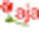 Favicon of aja Resorts