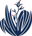 Albany Junior High School logo