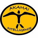 AKAMAI INTELLIGENCE LLC