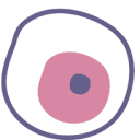 Akeso Pharmaceuticals logo