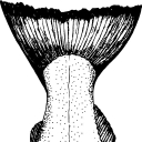 Alaska Home Pack logo